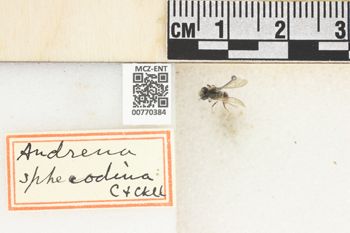 Media type: image;   Entomology 770384 Aspect: Labels